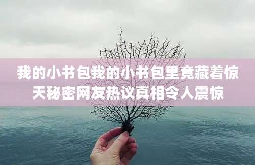我的小书包我的小书包里竟藏着惊天秘密网友热议真相令人震惊