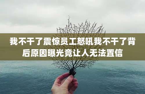我不干了震惊员工怒吼我不干了背后原因曝光竟让人无法置信