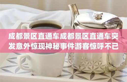 成都景区直通车成都景区直通车突发意外惊现神秘事件游客惊呼不已