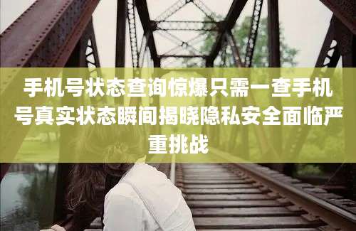 手机号状态查询惊爆只需一查手机号真实状态瞬间揭晓隐私安全面临严重挑战