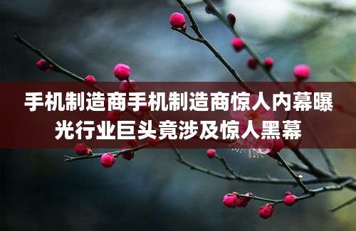 手机制造商手机制造商惊人内幕曝光行业巨头竟涉及惊人黑幕