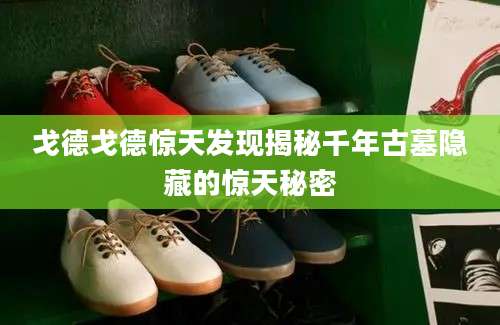 戈德戈德惊天发现揭秘千年古墓隐藏的惊天秘密