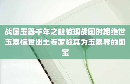 战国玉器千年之谜惊现战国时期绝世玉器惊世出土专家称其为玉器界的国宝