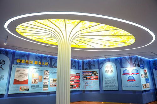 光影交织的传承之路 上海交大医学院院史馆新馆以多媒体设计重塑七十载记忆